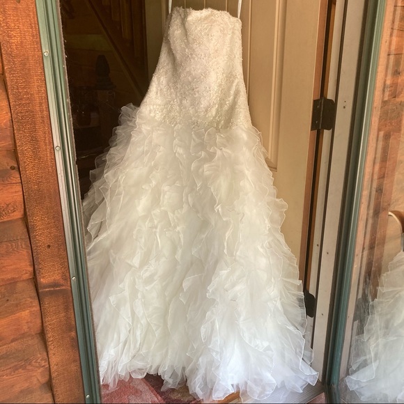 David’s Bridal Wedding Dress - Picture 7 of 12